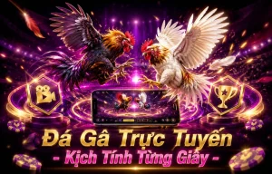Giao diện đá gà abuerodriguez trên mobile